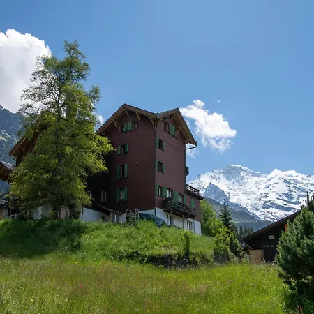 Montana * Wengen
